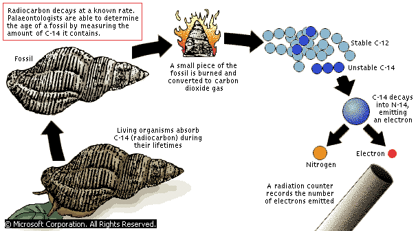 radiocarbon-dating